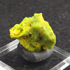Autunite Crystal in Perky Box, 2.9 Grams – Fluorescent Uranium Ore
