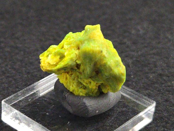 Autunite Crystal in Perky Box, 2.9 Grams – Fluorescent Uranium Ore
