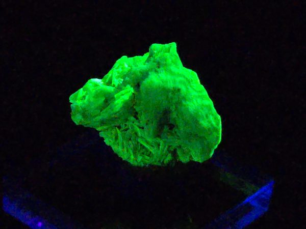 Autunite Crystal in Perky Box, 2.9 Grams – Fluorescent Uranium Ore - Image 3