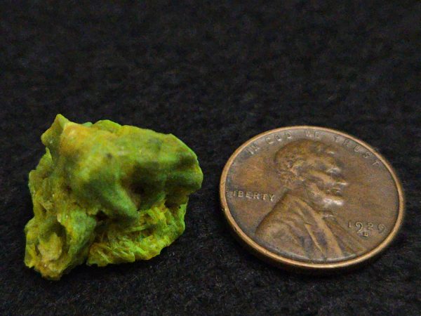 Autunite Crystal in Perky Box, 2.9 Grams – Fluorescent Uranium Ore - Image 8
