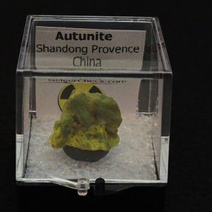 Autunite Crystal in Perky Box, 2.9 Grams – Fluorescent Uranium Ore