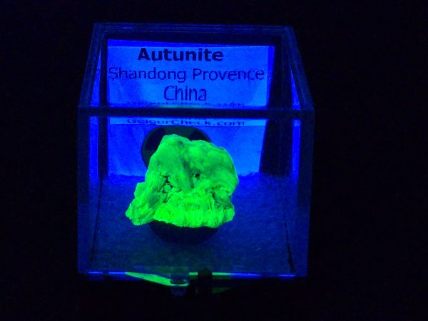 Autunite Crystal in Perky Box, 2.9 Grams – Fluorescent Uranium Ore