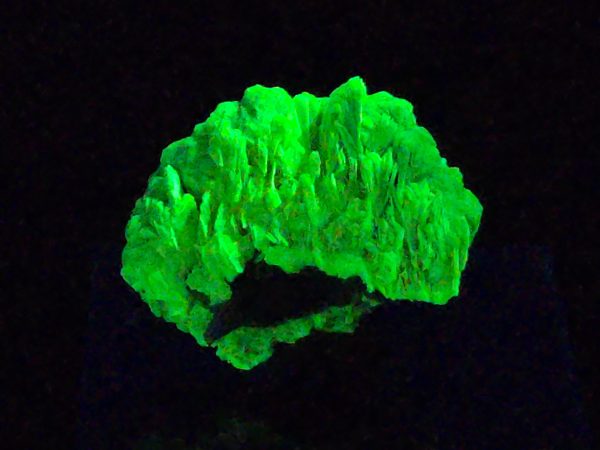Autunite Crystals on Matrix in Perky Box, 7.9 Grams – Fluorescent Uranium Ore - Image 2