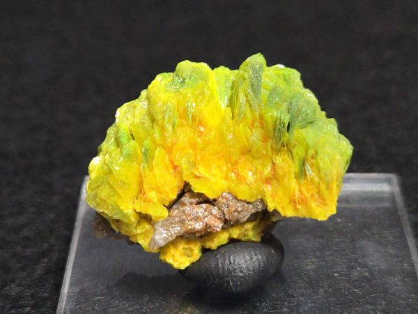 Autunite Crystals on Matrix in Perky Box, 7.9 Grams – Fluorescent Uranium Ore - Image 4