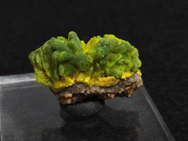 Autunite Crystals on Matrix in Perky Box, 7.9 Grams – Fluorescent Uranium Ore - Image 7
