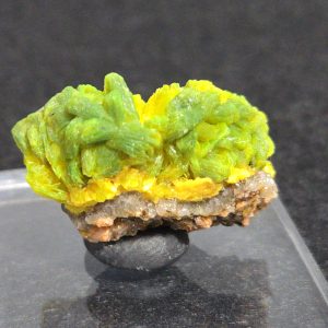 Autunite Crystals on Matrix in Perky Box, 7.9 Grams – Fluorescent Uranium Ore