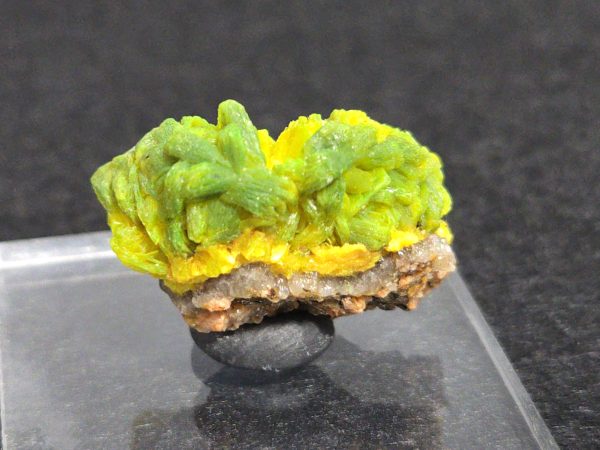 Autunite Crystals on Matrix in Perky Box, 7.9 Grams – Fluorescent Uranium Ore
