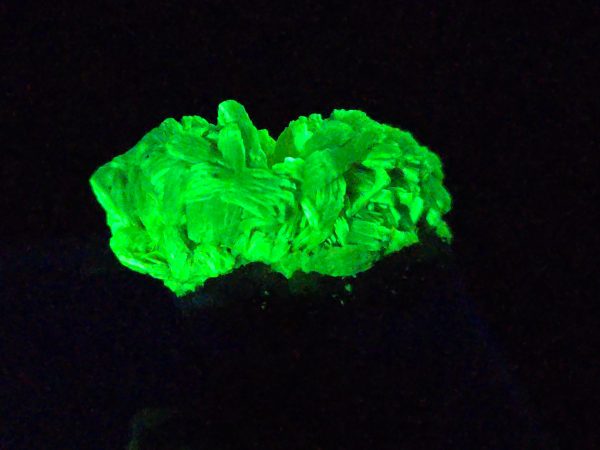 Autunite Crystals on Matrix in Perky Box, 7.9 Grams – Fluorescent Uranium Ore - Image 5