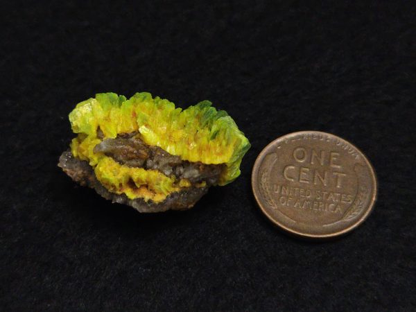 Autunite Crystals on Matrix in Perky Box, 7.9 Grams – Fluorescent Uranium Ore - Image 14