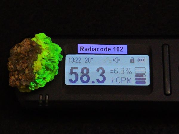 Autunite Crystals on Matrix in Perky Box, 7.9 Grams – Fluorescent Uranium Ore - Image 11