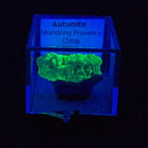 Autunite Crystals on Matrix in Perky Box, 7.9 Grams – Fluorescent Uranium Ore