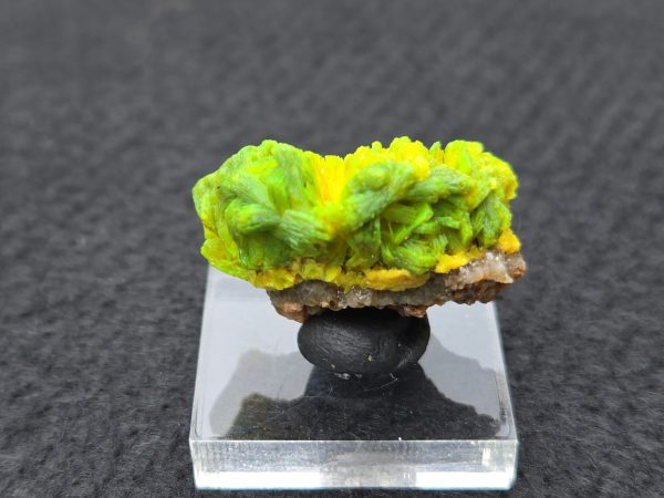 Autunite Crystals on Matrix in Perky Box, 7.9 Grams – Fluorescent Uranium Ore - Image 8