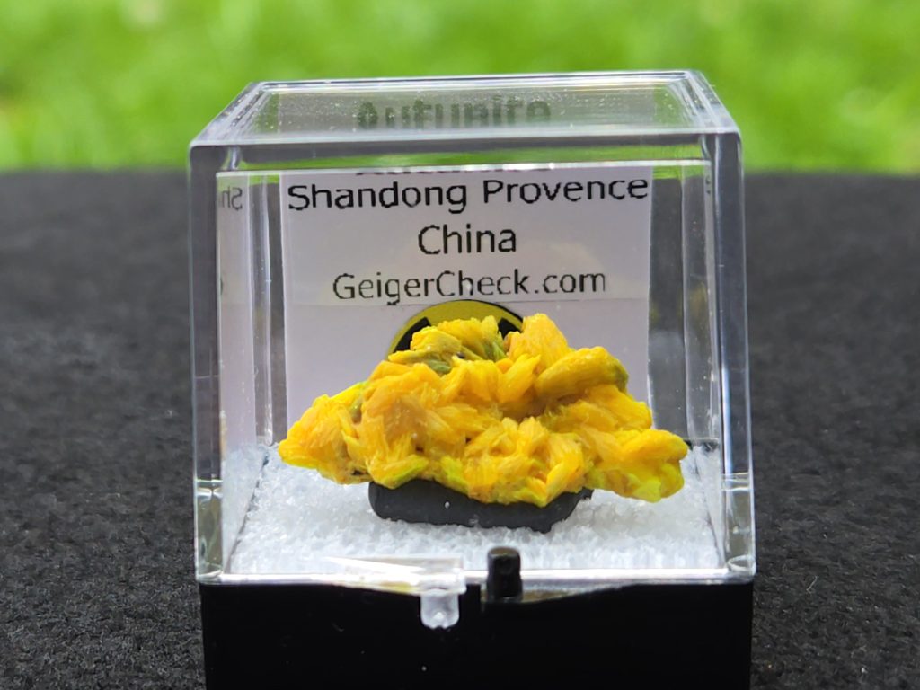 Autunite Crystal in Perky Box, 3.2 Grams – Fluorescent Uranium Ore
