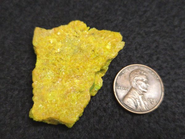 Autunite / Meta-Autunite Crystal  Fluorescent Uranium Ore, 14 Grams - Image 12
