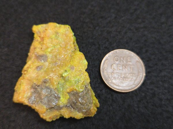 Autunite / Meta-Autunite Crystal  Fluorescent Uranium Ore, 14 Grams - Image 13