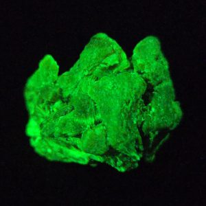 Autunite / Meta-Autunite Crystal Fluorescent Uranium Ore, 11 Grams