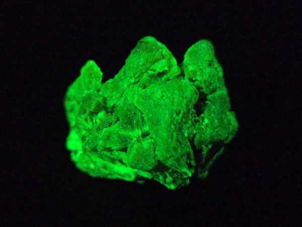 Autunite / Meta-Autunite Crystal Fluorescent Uranium Ore, 11 Grams