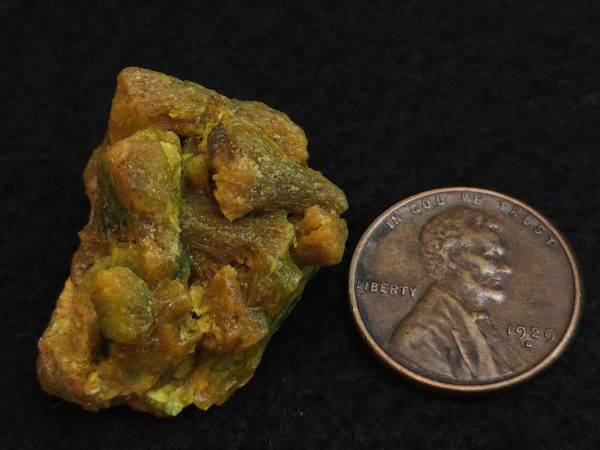 Autunite / Meta-Autunite Crystal  Fluorescent Uranium Ore, 11 Grams - Image 12