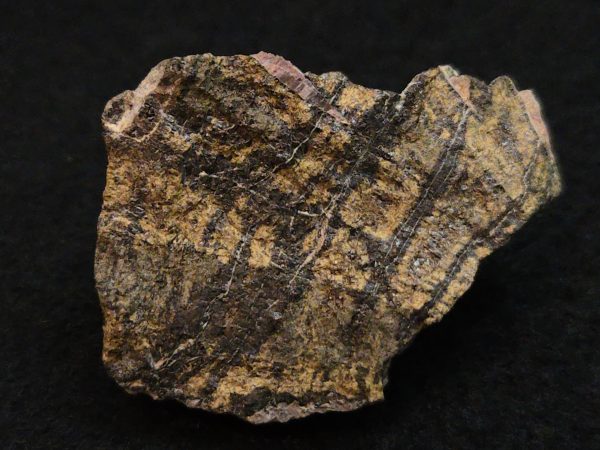 Samarskite-(y) Crystals in Matrix North Carolina USA