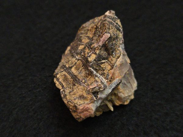 Samarskite-(y) Crystals in Matrix North Carolina USA