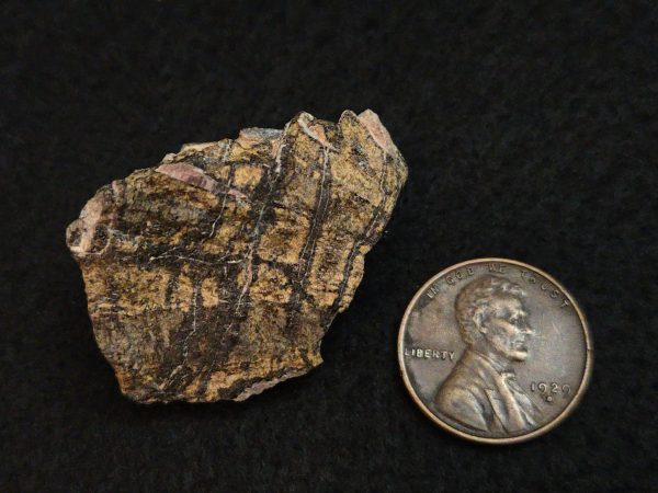Samarskite-(y) Crystals in Matrix  North Carolina USA - Image 7
