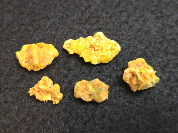 5 Piece Autunite Lot  ~ Fluorescent Uranium Ore - Image 4