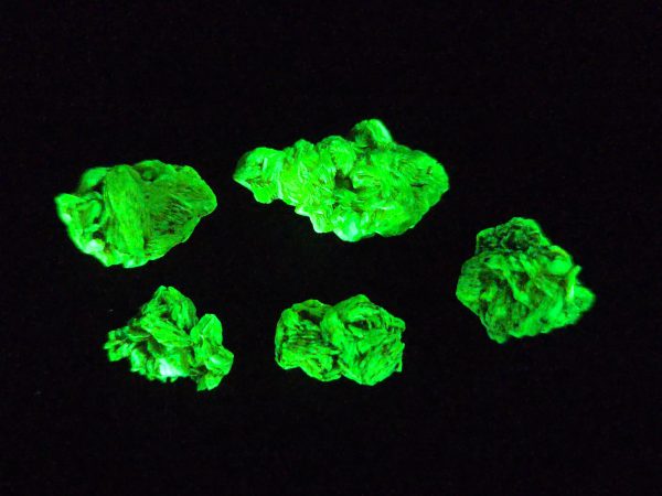 5 Piece Autunite Lot  ~ Fluorescent Uranium Ore - Image 3