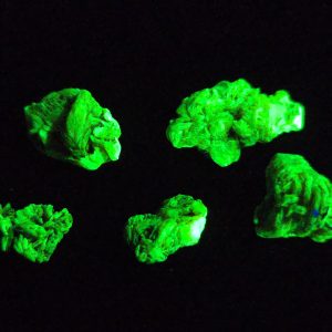 5 Piece Autunite Lot ~ Fluorescent Uranium Ore