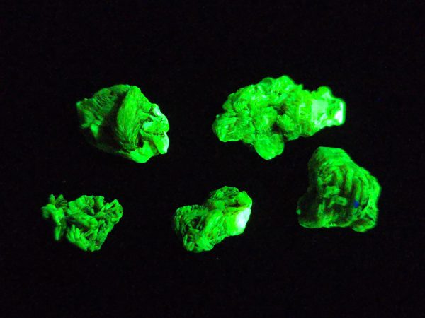 5 Piece Autunite Lot ~ Fluorescent Uranium Ore