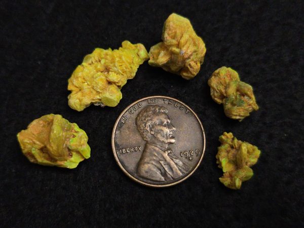 5 Piece Autunite Lot  ~ Fluorescent Uranium Ore - Image 7