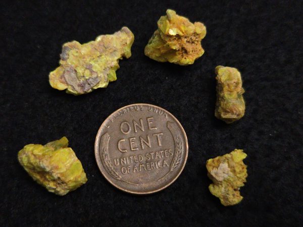 5 Piece Autunite Lot  ~ Fluorescent Uranium Ore - Image 8