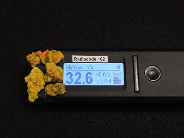 5 Piece Autunite Lot  ~ Fluorescent Uranium Ore - Image 6