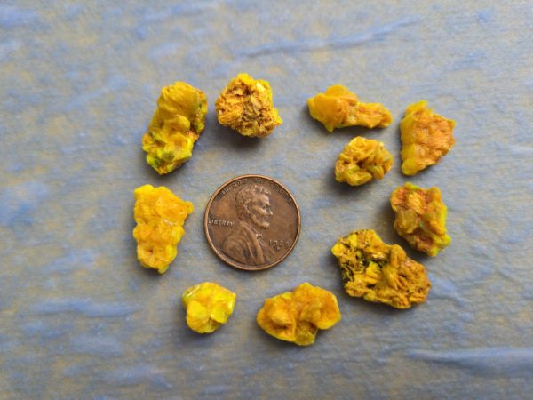 10 Piece Autunite Lot  ~ Fluorescent Uranium Ore - Image 2