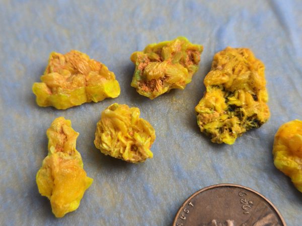 10 Piece Autunite Lot  ~ Fluorescent Uranium Ore - Image 6
