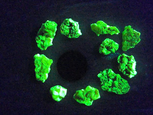 10 Piece Autunite Lot  ~ Fluorescent Uranium Ore - Image 3