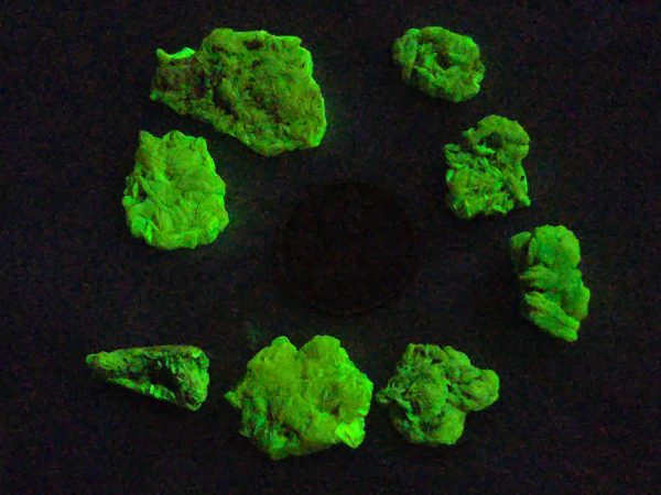 8 Piece Autunite Lot  ~ Fluorescent Uranium Ore - Image 3