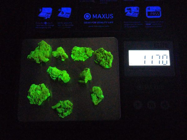 9 Piece Autunite Lot ~ Fluorescent Uranium Ore
