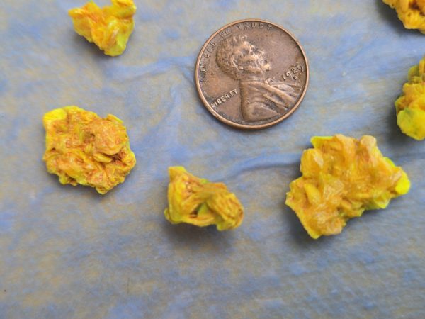 9 Piece Autunite Lot  ~ Fluorescent Uranium Ore - Image 7