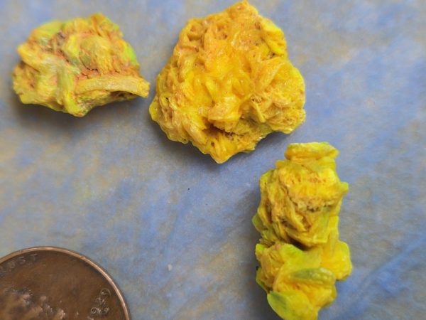 9 Piece Autunite Lot  ~ Fluorescent Uranium Ore - Image 5