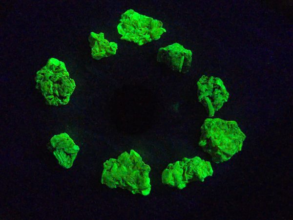 9 Piece Autunite Lot  ~ Fluorescent Uranium Ore - Image 3