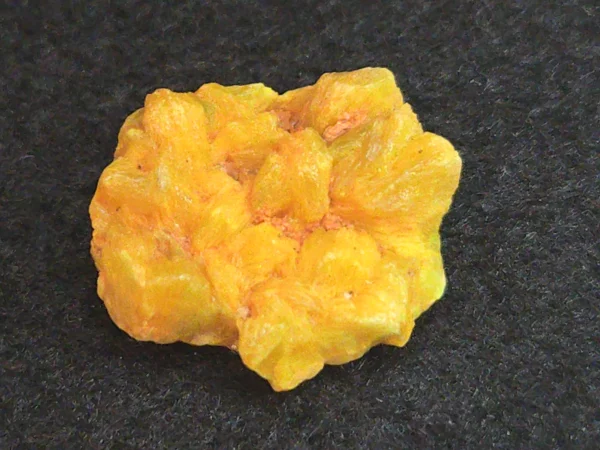 Autunite Crystal in Perky Box, 3 Grams – Fluorescent Uranium Ore