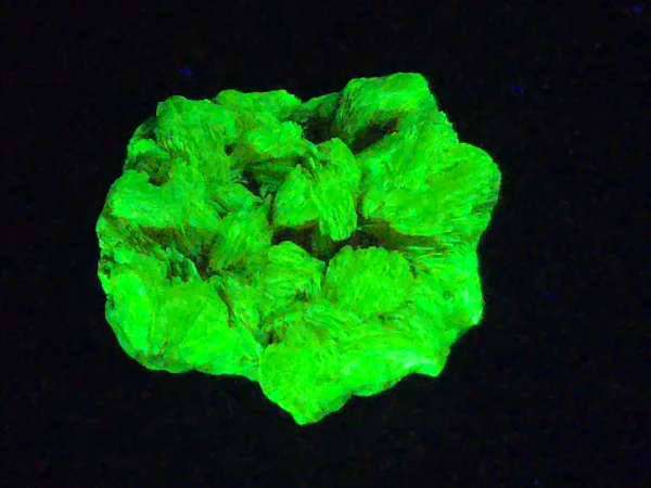 Autunite Crystal in Perky Box, 3 Grams – Fluorescent Uranium Ore - Image 4