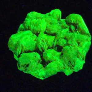 Autunite Crystal in Perky Box, 3 Grams – Fluorescent Uranium Ore