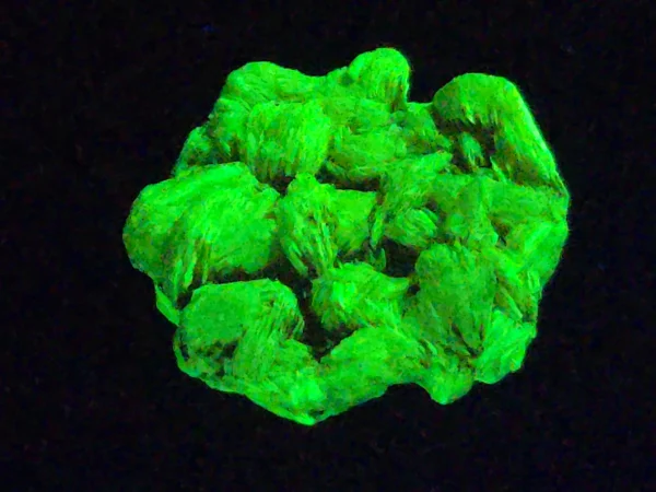 Autunite Crystal in Perky Box, 3 Grams – Fluorescent Uranium Ore