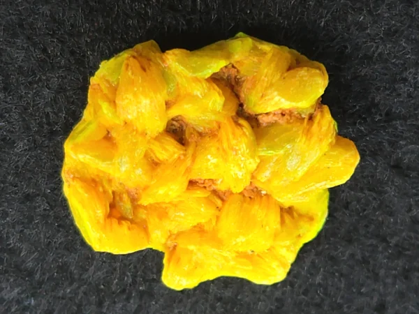 Autunite Crystal in Perky Box, 3 Grams – Fluorescent Uranium Ore - Image 6