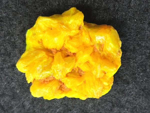 Autunite Crystal in Perky Box, 3 Grams – Fluorescent Uranium Ore - Image 3