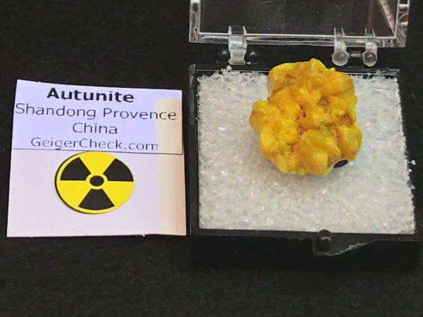 Autunite Crystal in Perky Box, 3 Grams – Fluorescent Uranium Ore - Image 12