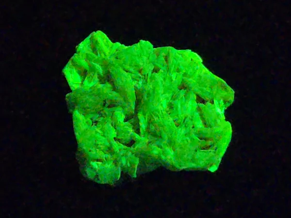 Autunite Crystal in Perky Box, 2.5 Grams – Fluorescent Uranium Ore - Image 5