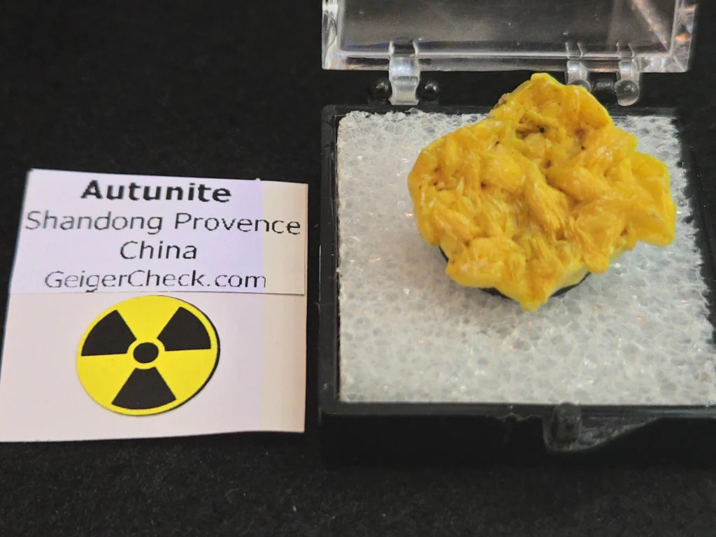 Autunite Crystal in Perky Box, 2.5 Grams – Fluorescent Uranium Ore