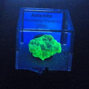 Autunite Crystal in Perky Box, 2.5 Grams – Fluorescent Uranium Ore